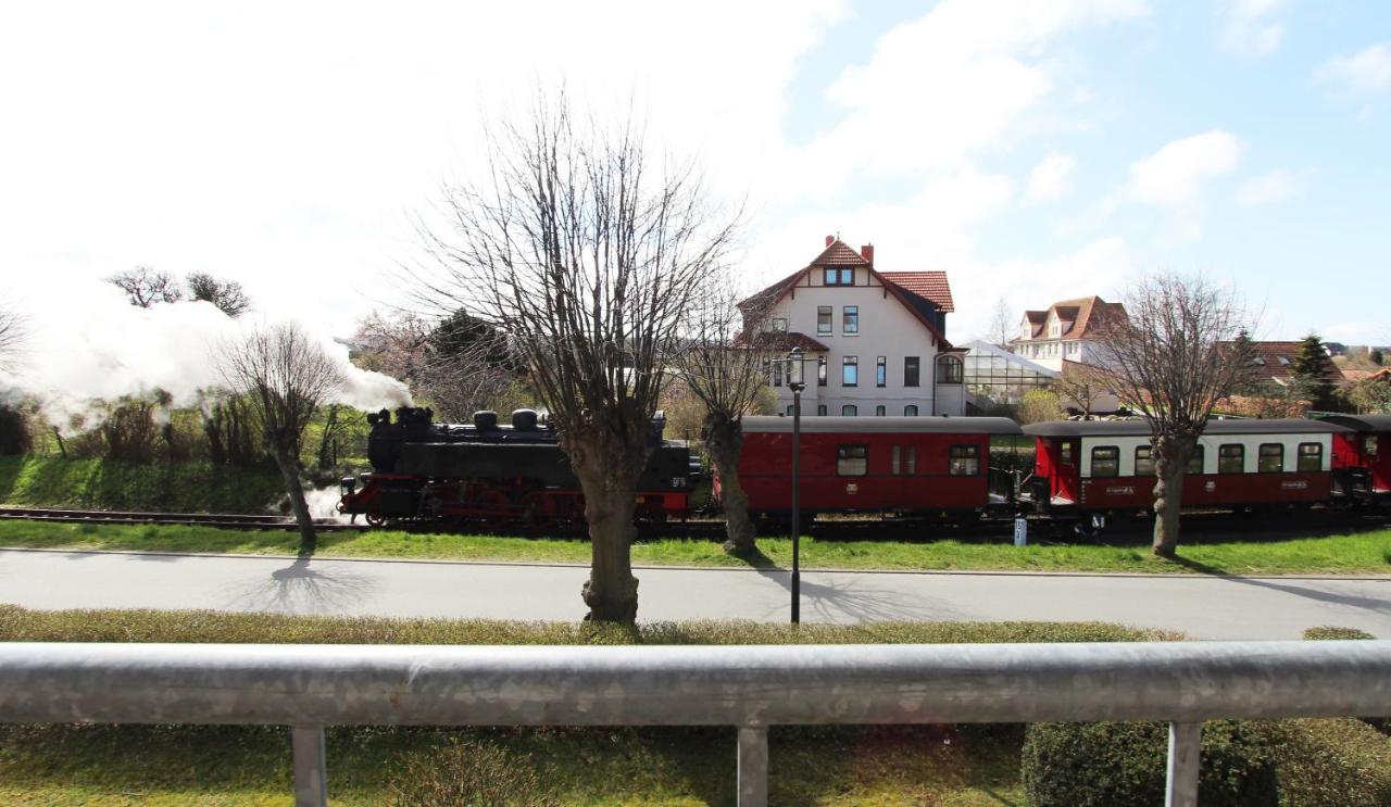 Ferienwohnung Am Molli Nr. 1 Kühlungsborn Dış mekan fotoğraf